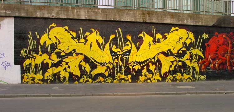 PHO BY PHOBIA  BRUNELLESCHI 2003